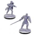 Wizkids D&D Nolzur's Marvelous Miniatures Reborn Paladin & Warlock