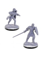 Wizkids D&D Nolzur's Marvelous Miniatures Reborn Paladin & Warlock