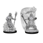 Wizkids D&D Nolzur's Marvelous Miniatures Water Genasi Druid Male
