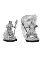 Wizkids D&D Nolzur's Marvelous Miniatures Water Genasi Druid Male