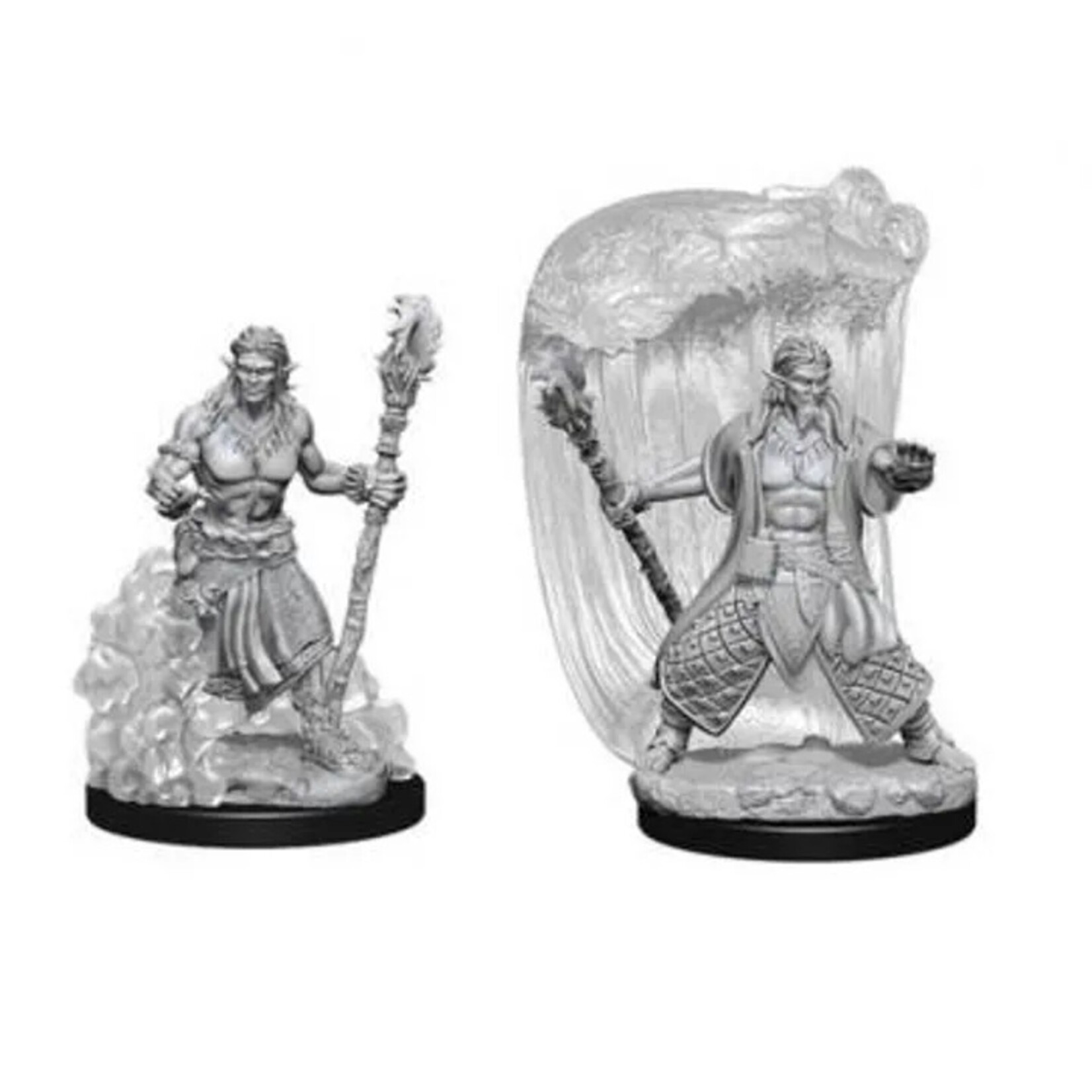Wizkids D&D Nolzur's Marvelous Miniatures Water Genasi Druid Male