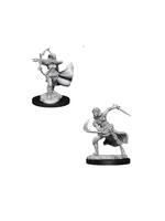 Wizkids D&D Nolzur's Marvelous Miniatures Air Genasi Female