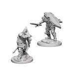 Wizkids D&D Nolzur's Marvelous Miniatures Human Paladin Male
