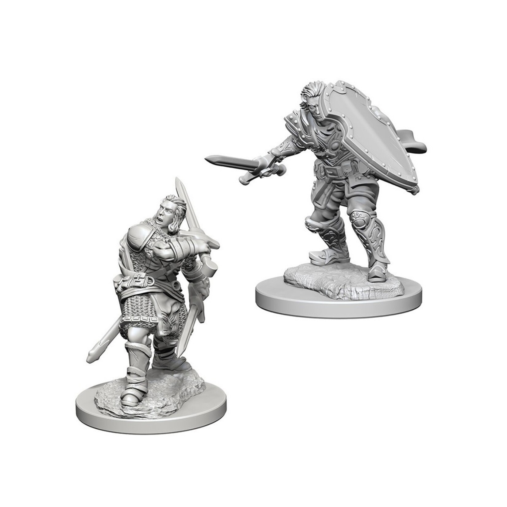 Wizkids D&D Nolzur's Marvelous Miniatures Human Paladin Male