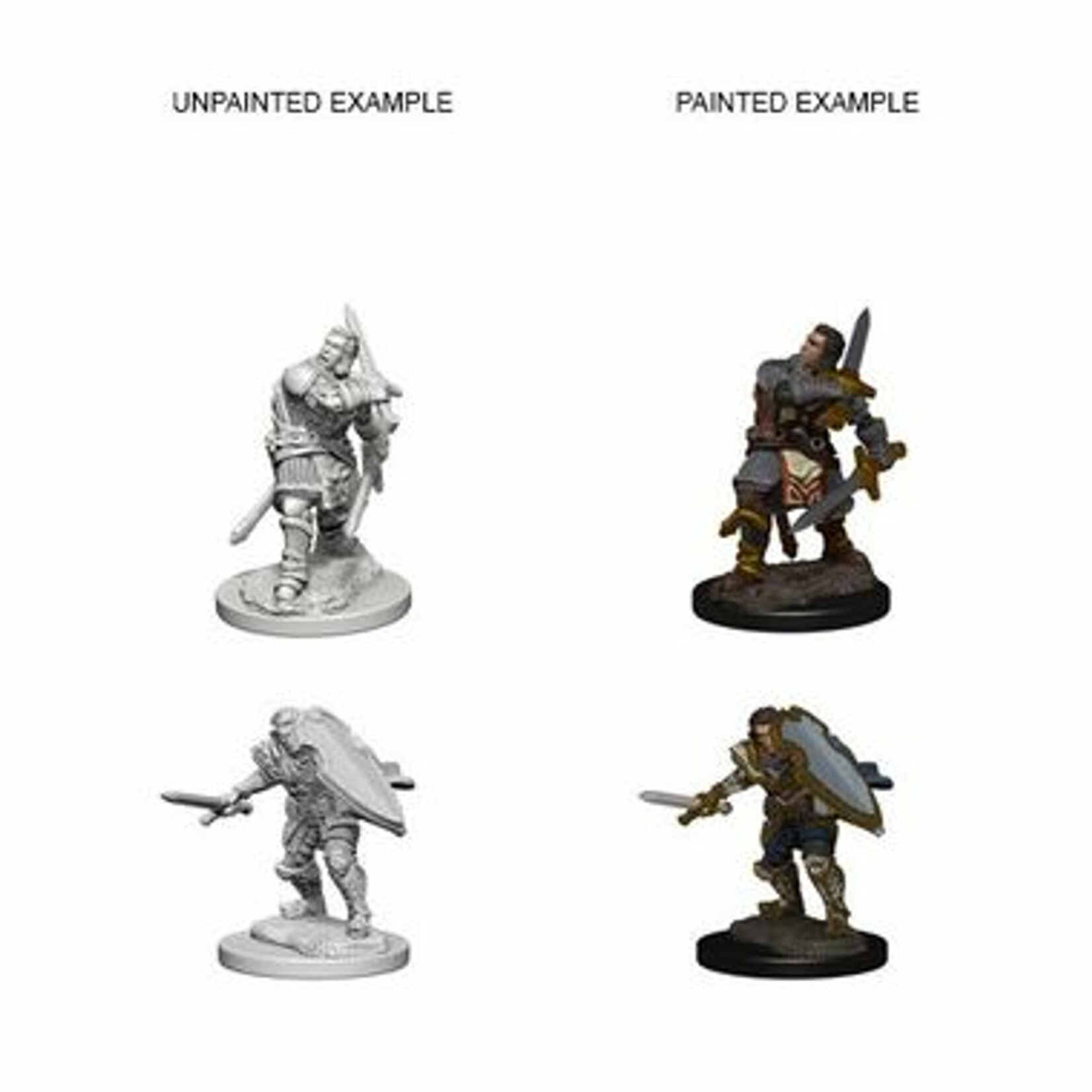 Wizkids D&D Nolzur's Marvelous Miniatures Human Paladin Male