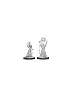 Wizkids D&D Nolzur's Marvelous Miniatures Drow Mage and Drow Priestess