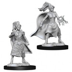Wizkids D&D Nolzur's Marvelous Miniatures Human Sorcerer Female