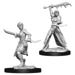 Wizkids D&D Nolzur's Marvelous Miniatures Human Rogue Female