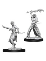 Wizkids D&D Nolzur's Marvelous Miniatures Human Rogue Female
