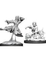 Wizkids D&D Nolzur's Marvelous Miniatures Human Monk Female 3