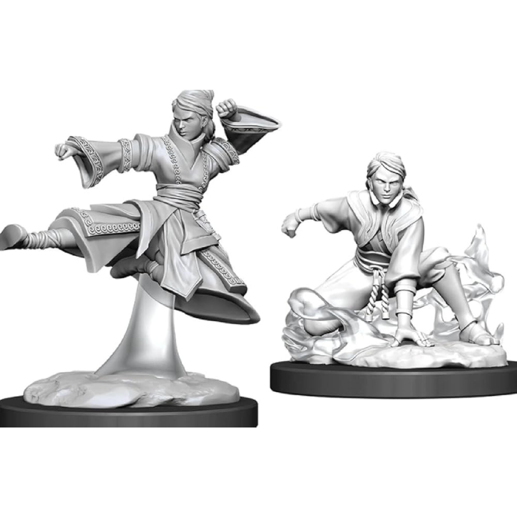 Wizkids D&D Nolzur's Marvelous Miniatures Human Monk Female 3