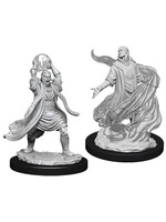 Wizkids D&D Nolzur's Marvelous Miniatures Elf Sorcerer Male