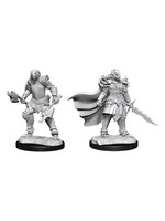 Wizkids D&D Nolzur's Marvelous Miniatures Dragonborn Fighter Female 3