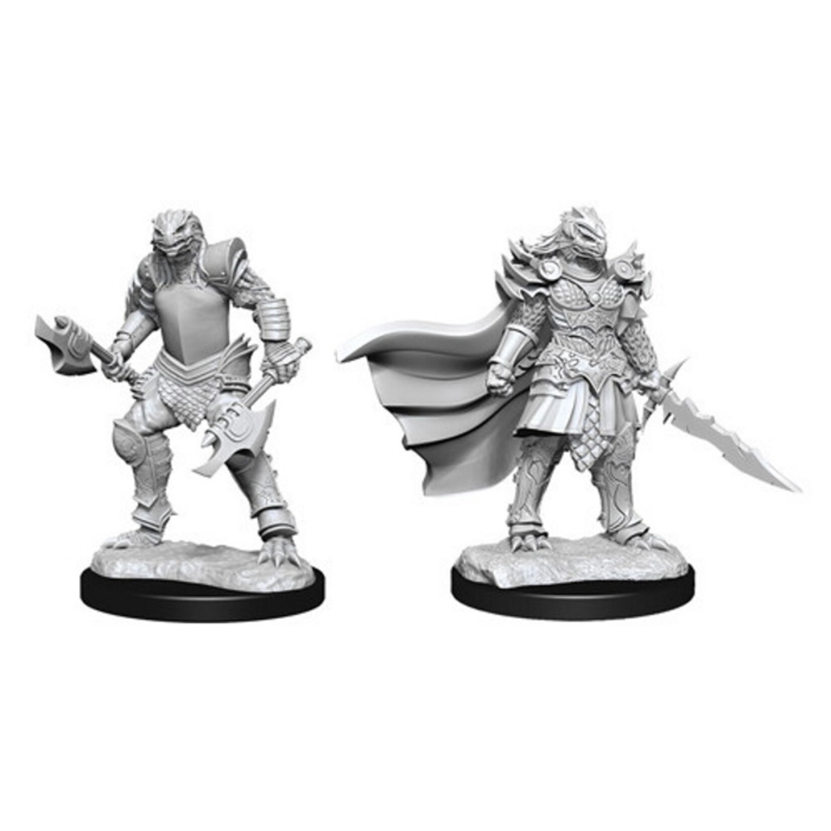 Wizkids D&D Nolzur's Marvelous Miniatures Dragonborn Fighter Female