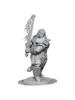 Wizkids D&D Nolzur's Marvelous Miniatures Fire Giant 2