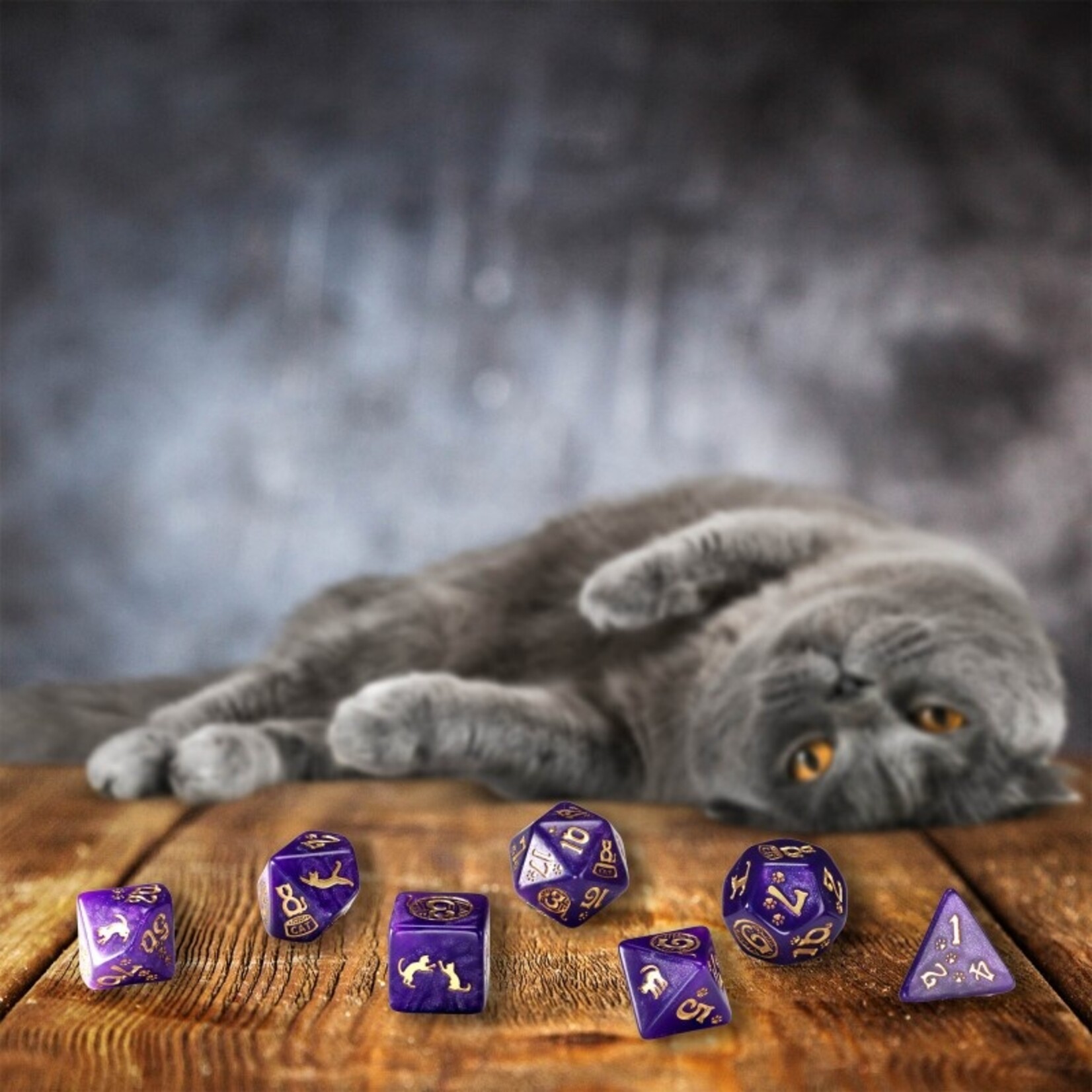 Q-Workshop CATS Modern Dice Set: Purrito (Purple)