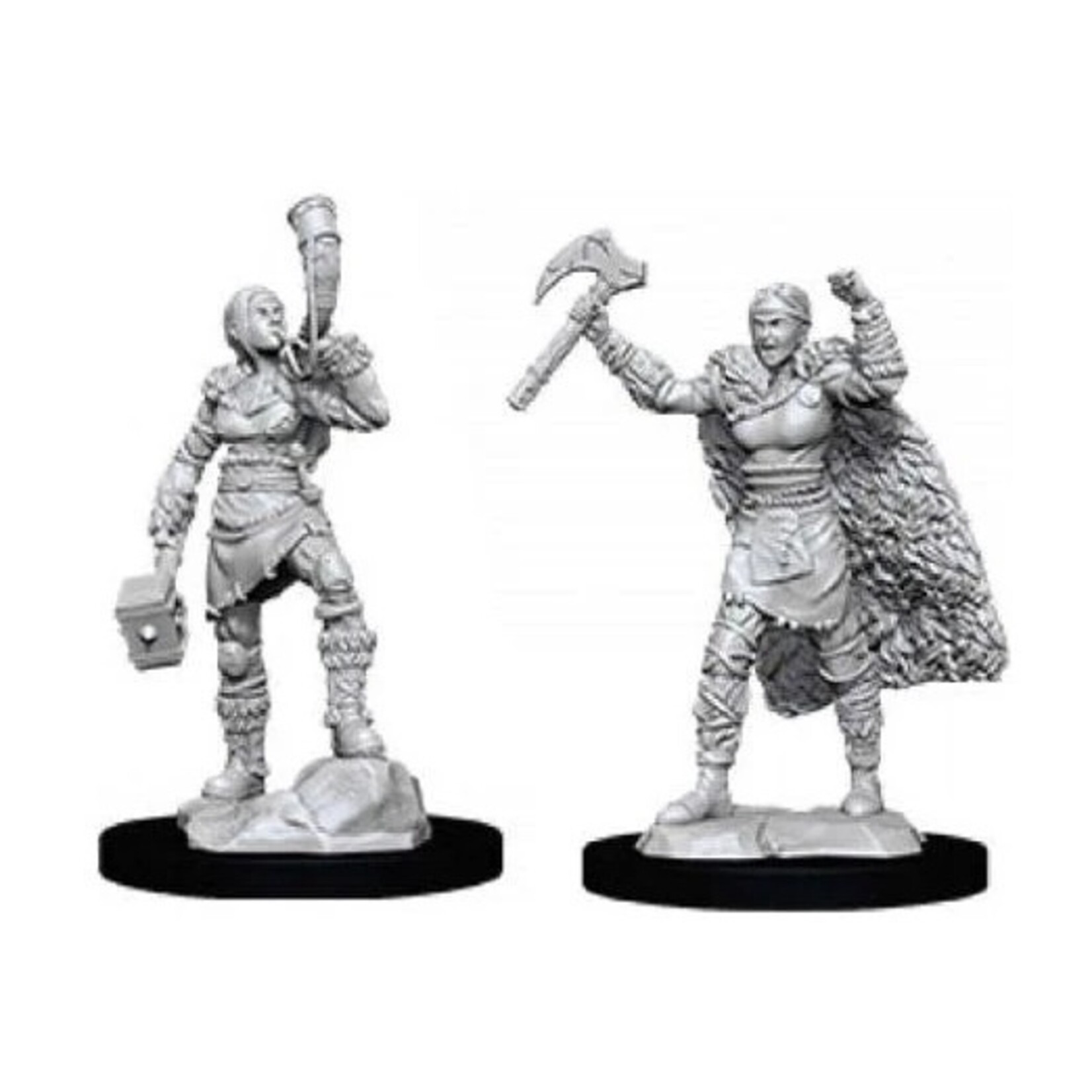 Wizkids D&D Nolzur's Marvelous Miniatures Human Barbarian Female 2