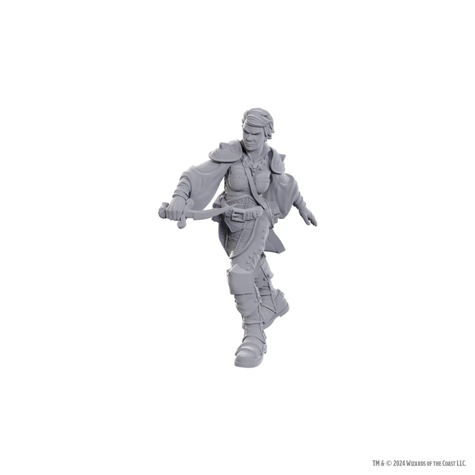 Wizkids D&D Nolzur's Marvelous Miniatures Swashbuckler