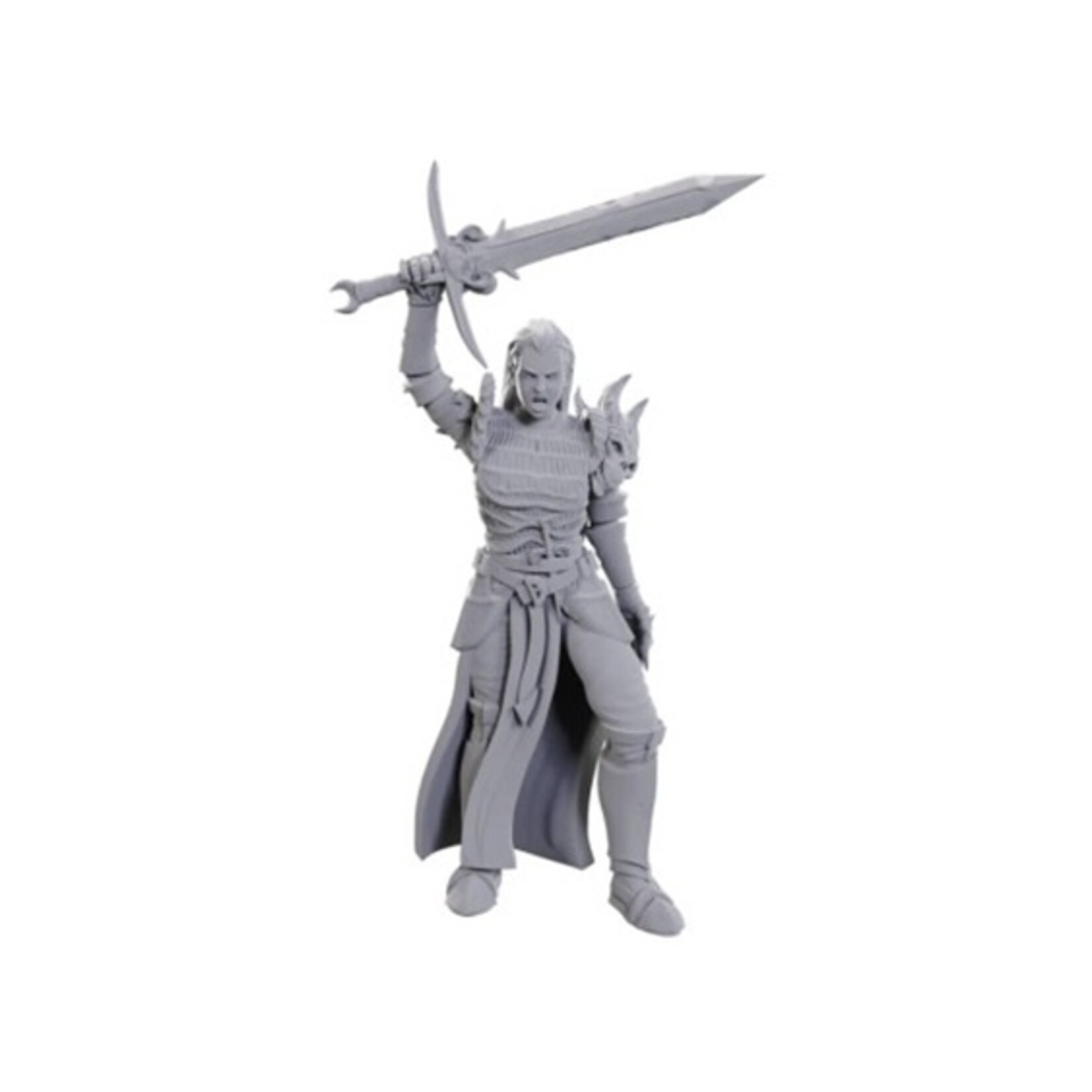 Wizkids D&D Nolzur's Marvelous Miniatures Blackguard
