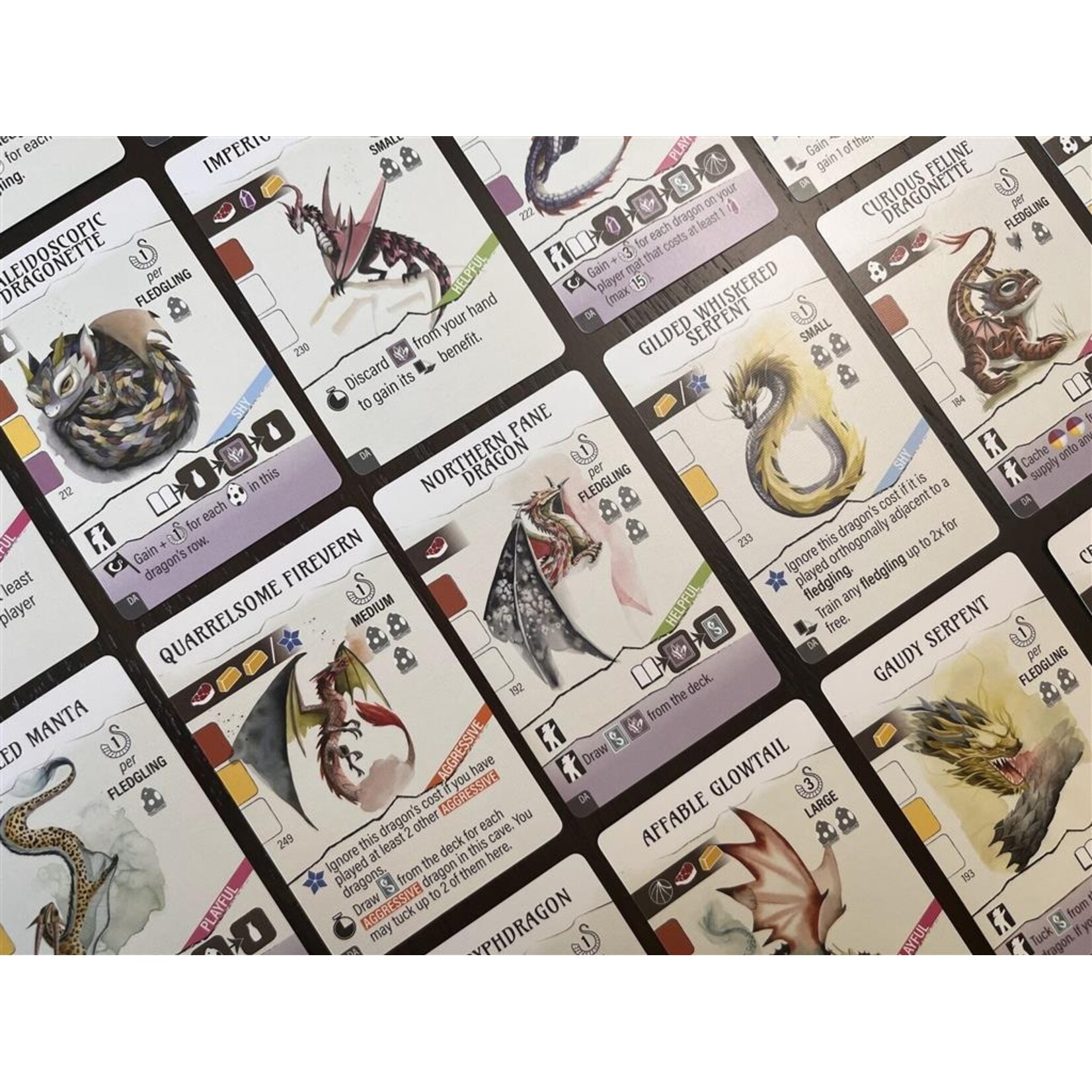 Stonemaier Games Wyrmspan Expansion: Dragon Academy (EN)