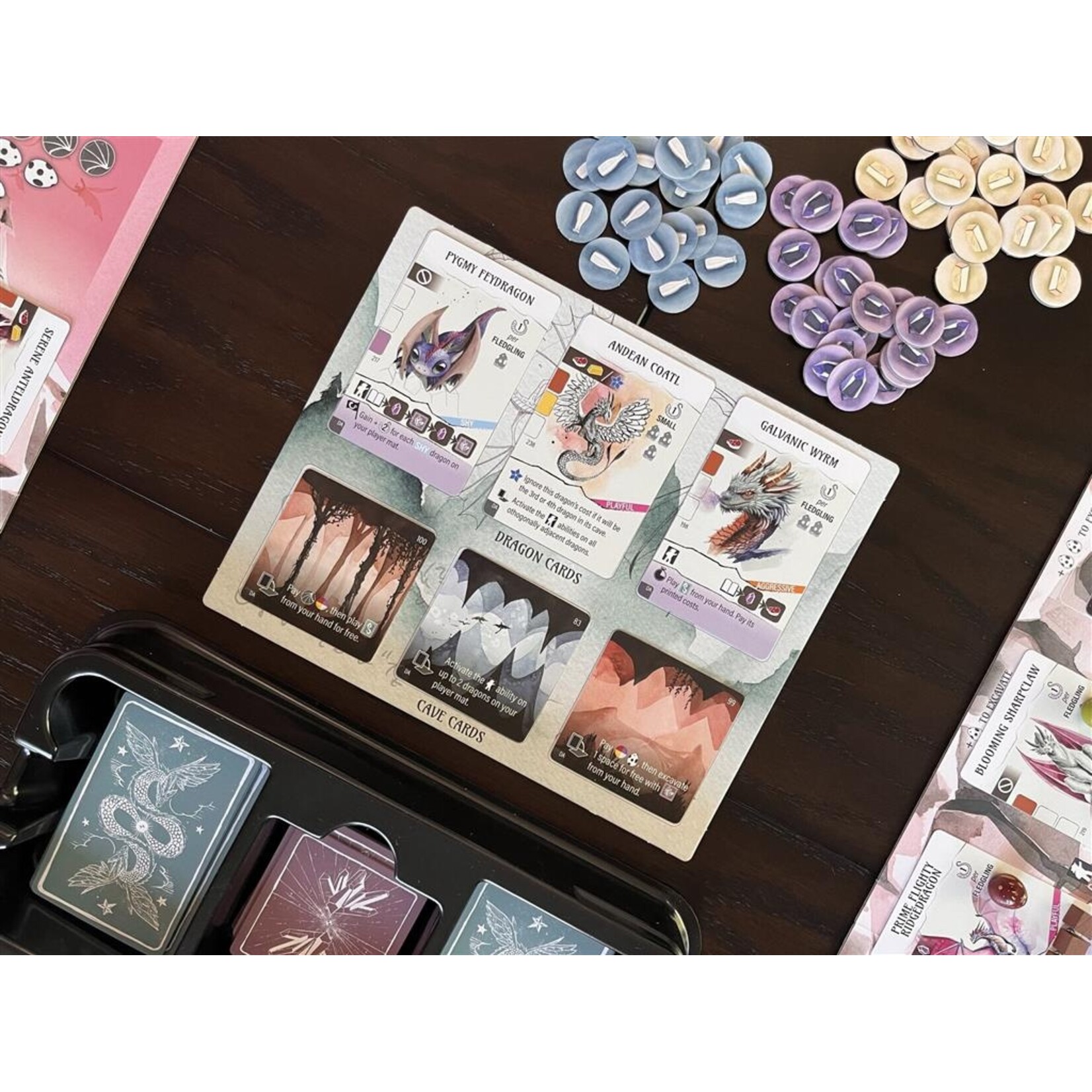 Stonemaier Games Wyrmspan Expansion: Dragon Academy (EN)