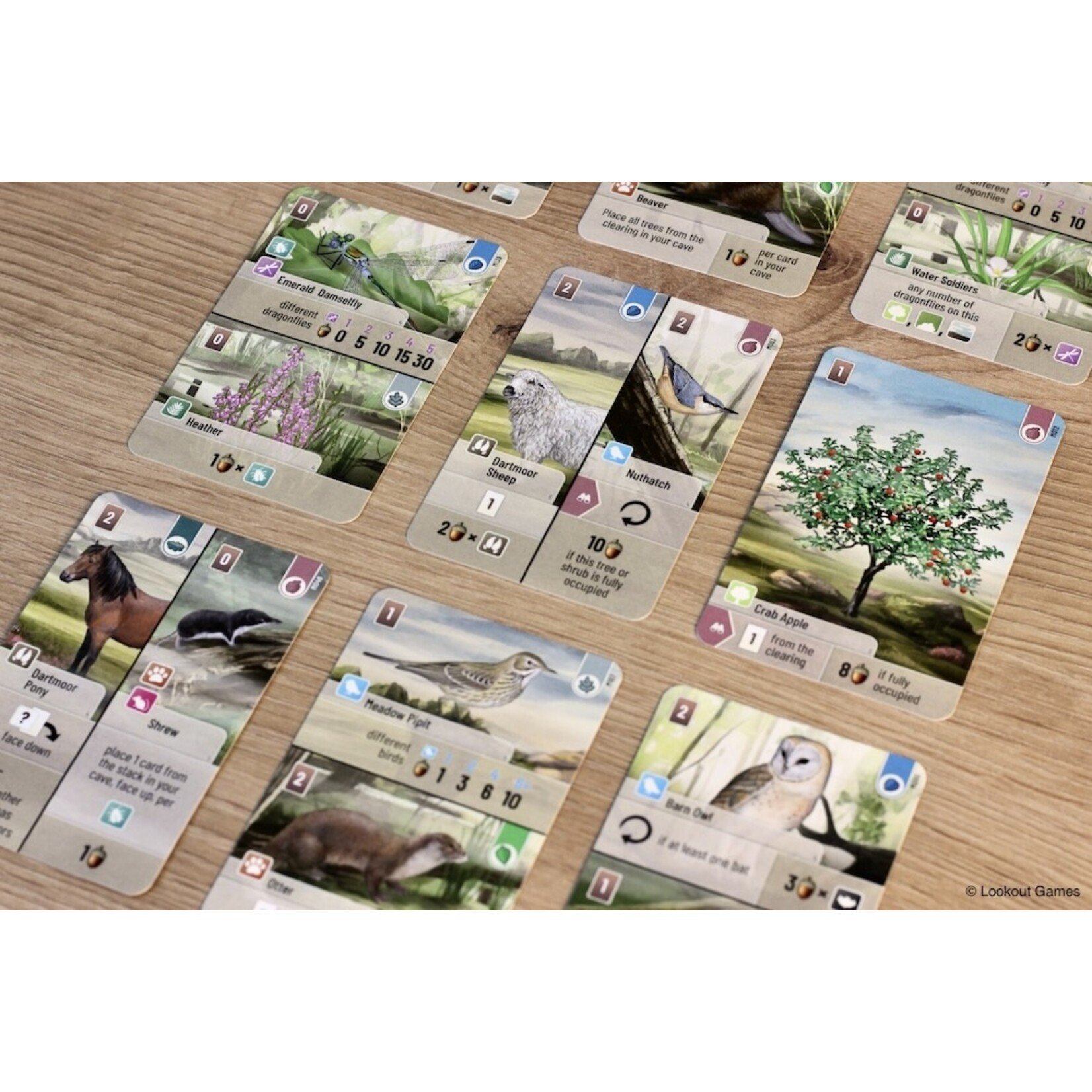 Lookout Games Forest Shuffle: Dartmoor (NL)