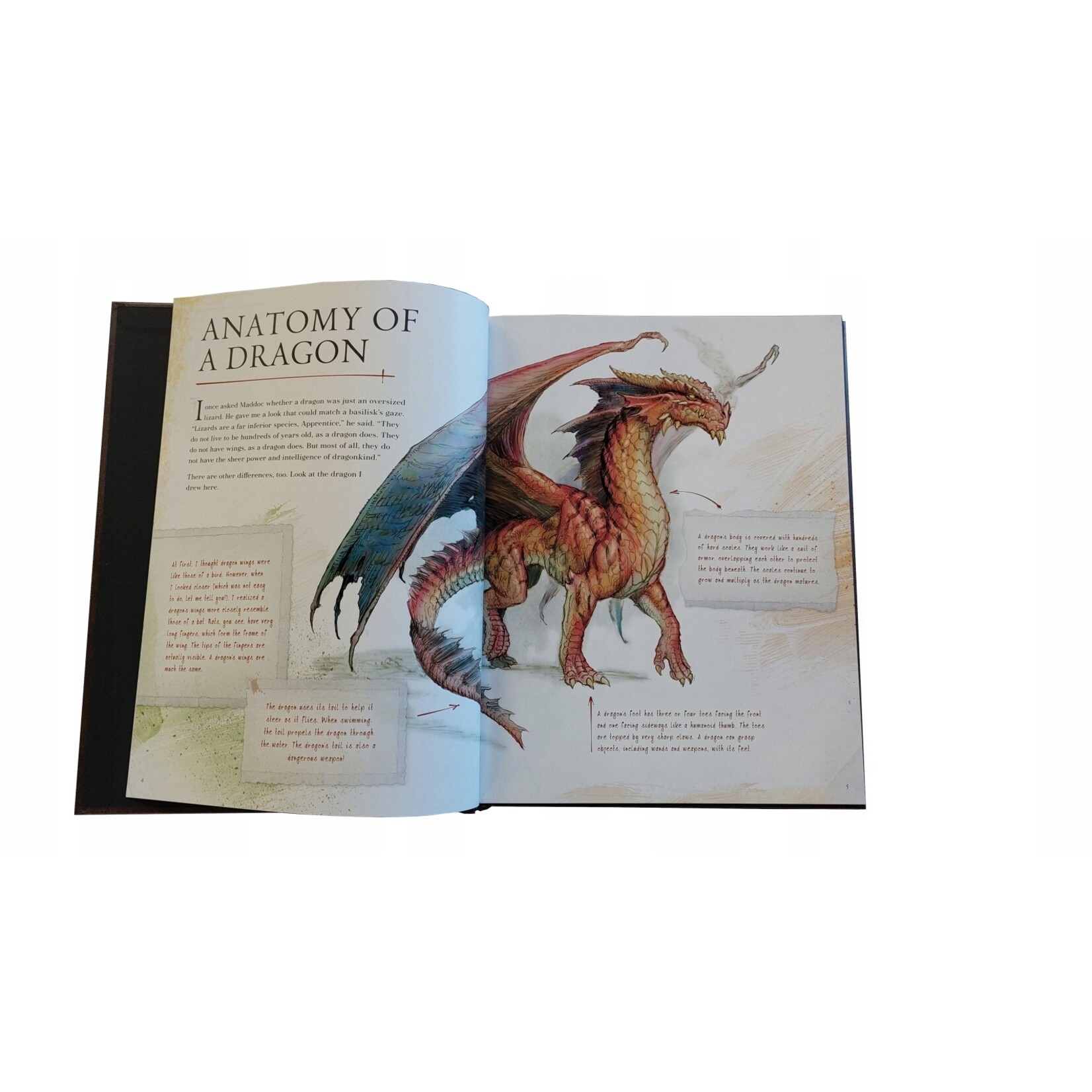 Wizards of the Coast D&D 5th ed. The Practically Complete Guide to Dragons (EN) **