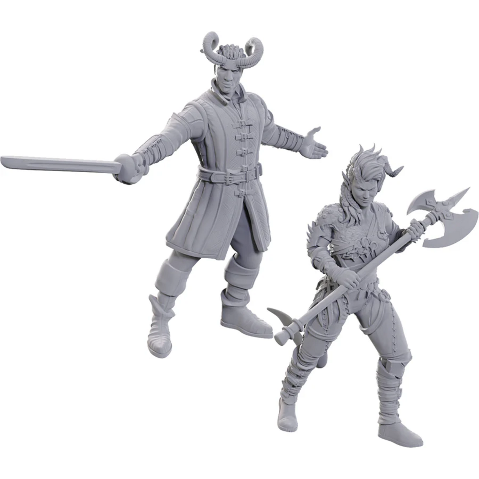 Wizkids D&D Nolzur's Baldur's Gate Wyll & Karlach