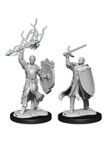 Wizkids D&D Nolzur's Marvelous Miniatures Half-Elf Paladin Male