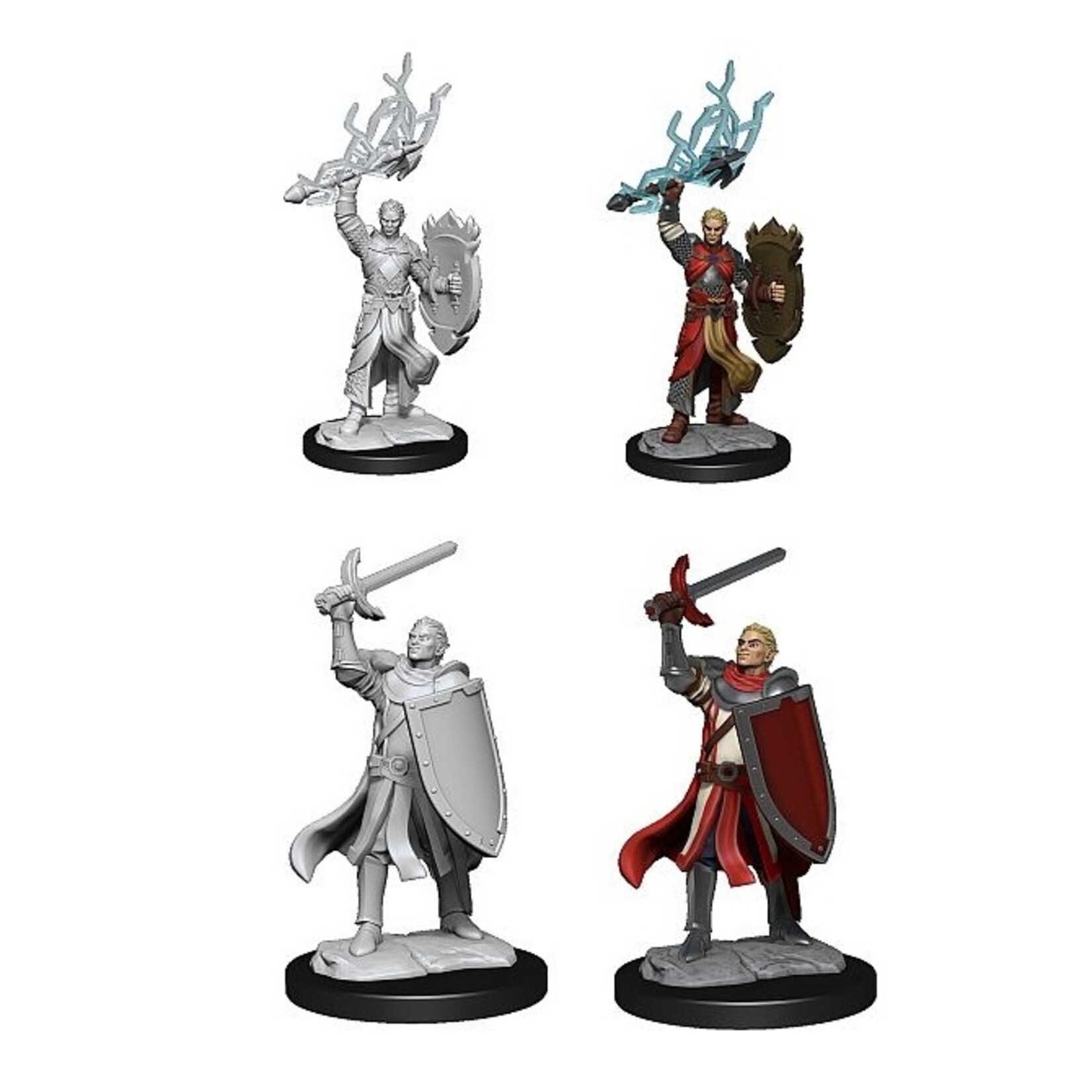 Wizkids D&D Nolzur's Marvelous Miniatures Half-Elf Paladin Male