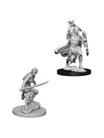 Wizkids D&D Nolzur's Marvelous Miniatures Elf Fighter Female