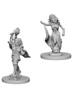 Wizkids D&D Nolzur's Marvelous Miniatures Medusas
