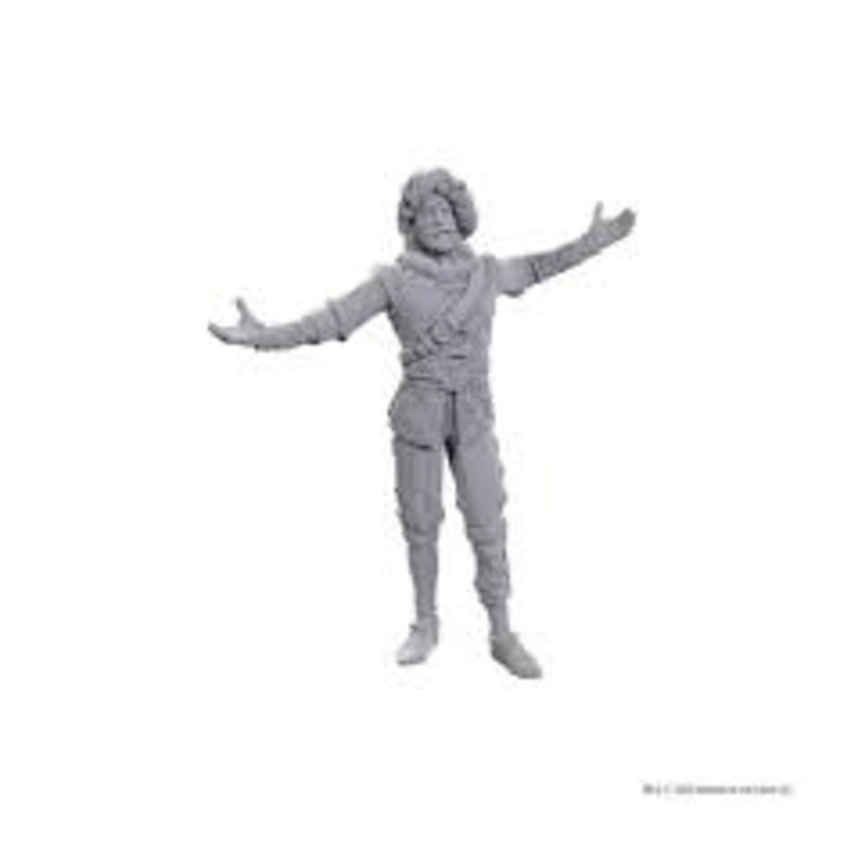 Wizkids D&D Nolzur's Baldur's Gate Volo & Withers