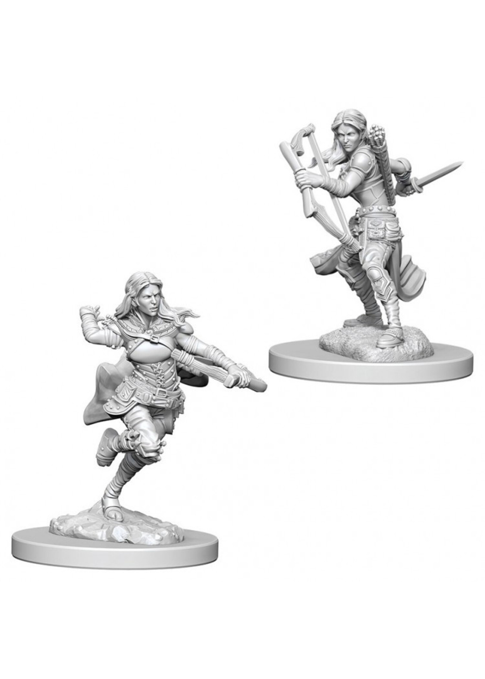Wizkids D&D Nolzur's Marvelous Miniatures Air Genasi Rogue Female