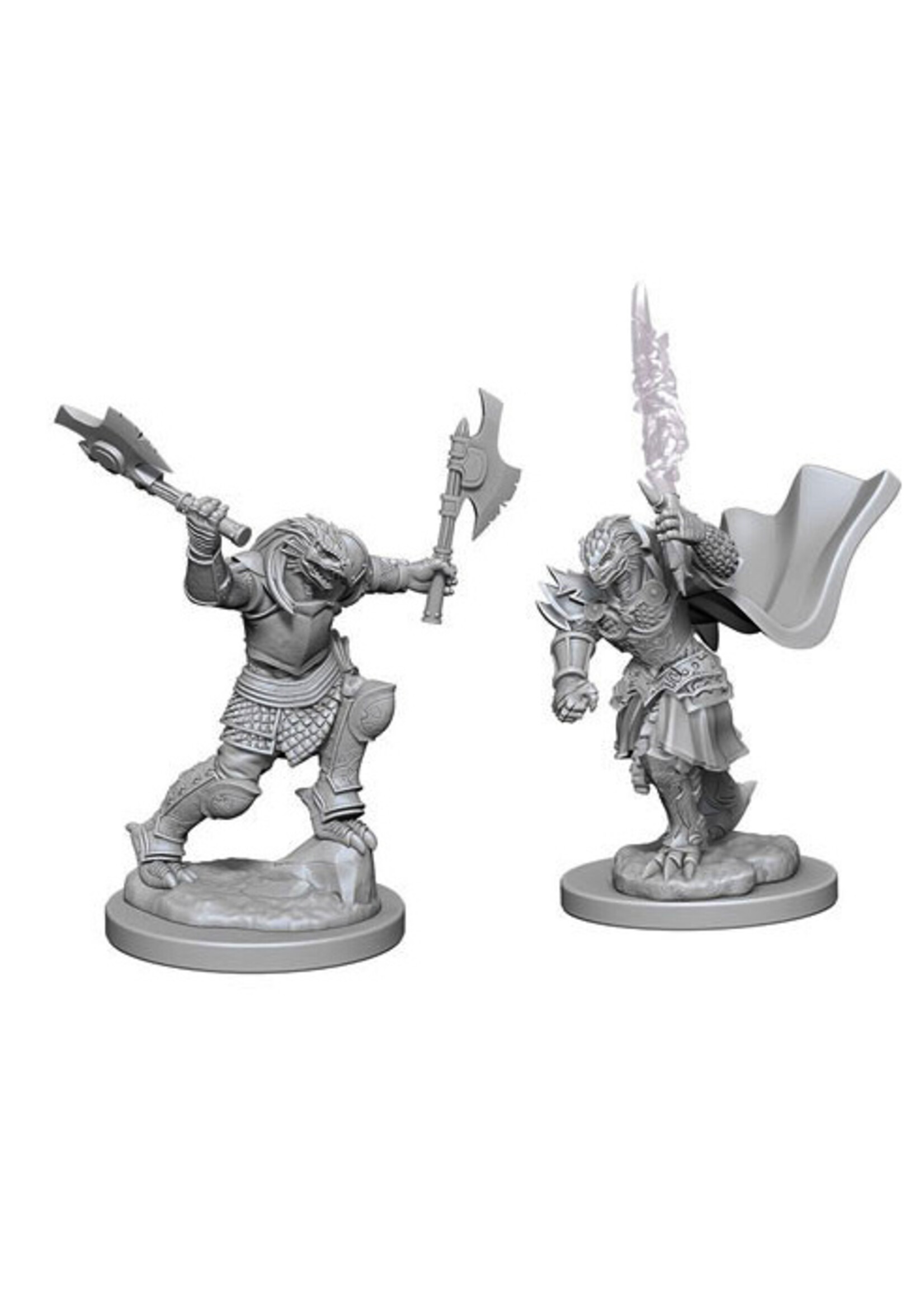 Wizkids D&D Nolzur's Marvelous Miniatures Dragonborn Fighter Female