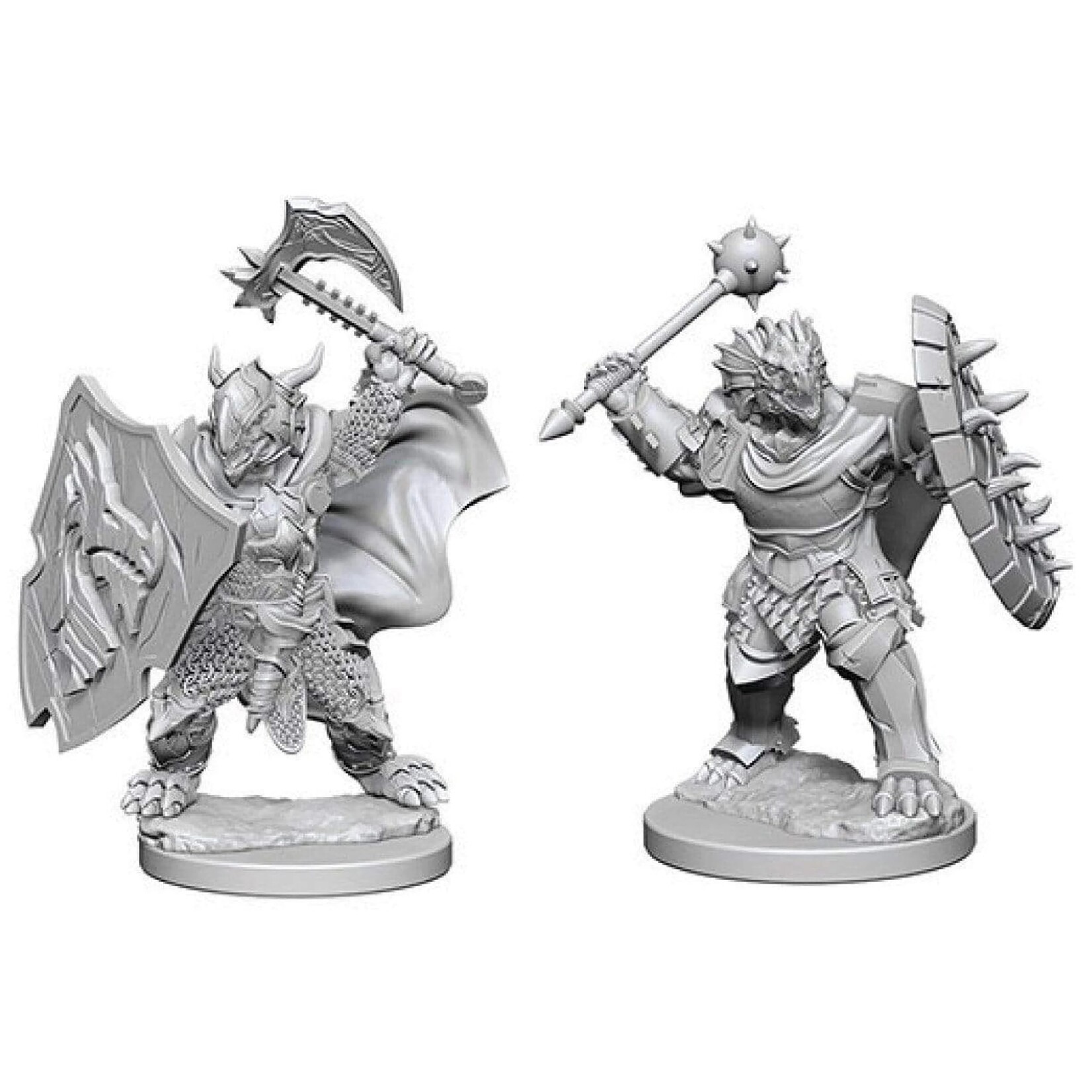 Wizkids D&D Nolzur's Marvelous Miniatures Dragonborn Paladin/Fighter Male 3