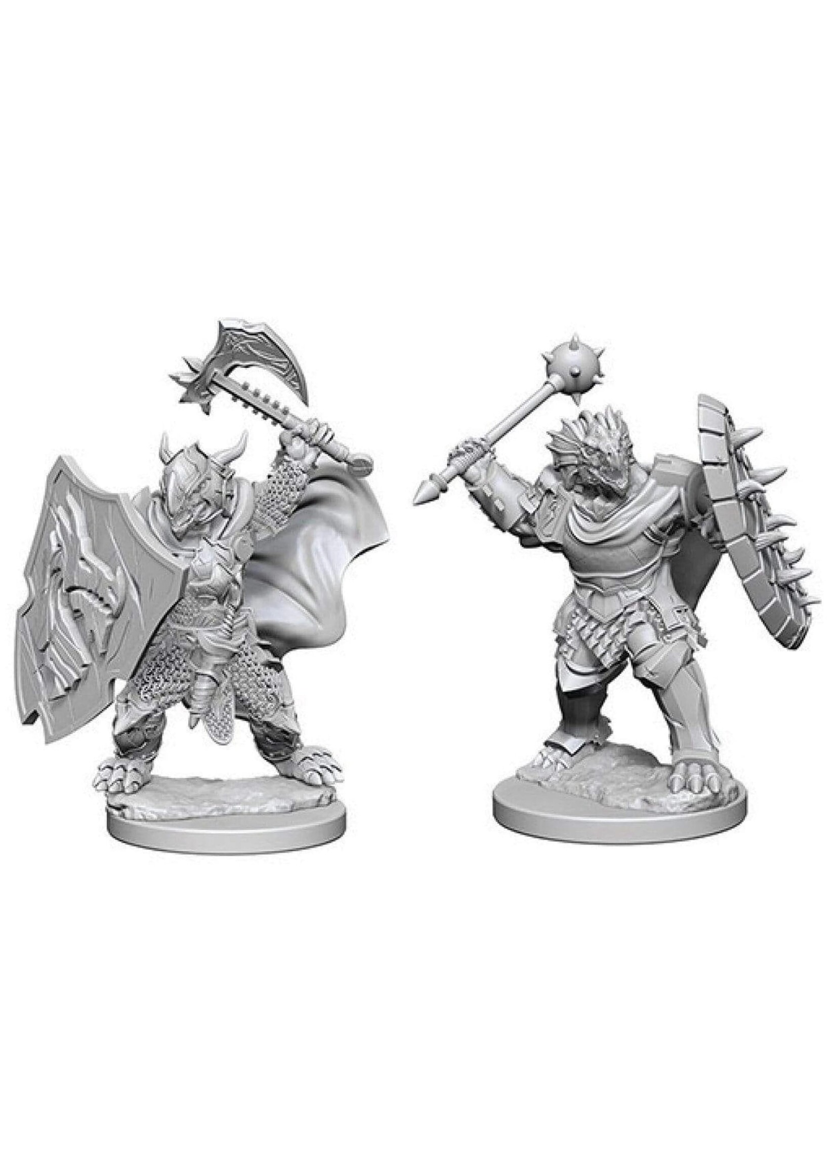 Wizkids D&D Nolzur's Marvelous Miniatures Dragonborn Paladin/Fighter Male 3