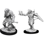 Wizkids D&D Nolzur's Marvelous Miniatures Dragonborn Paladin Male