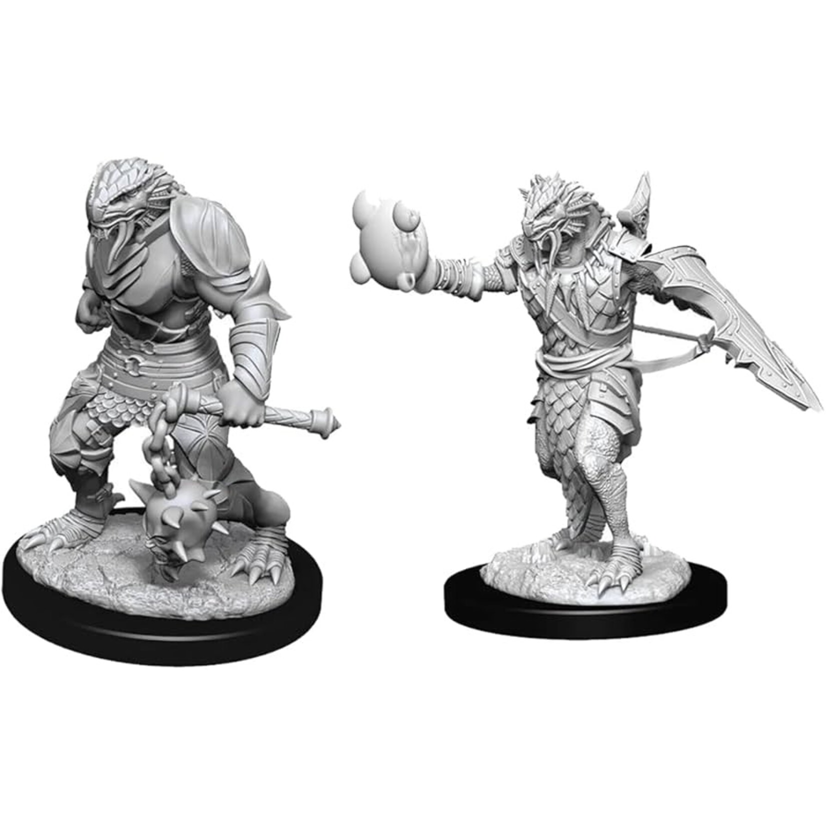 Wizkids D&D Nolzur's Marvelous Miniatures Dragonborn Paladin Male