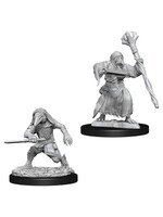 Wizkids D&D Nolzur's Marvelous Miniatures Kenku Adventurers