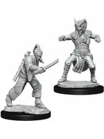 Wizkids D&D Nolzur's Marvelous Miniatures Human Monk Male