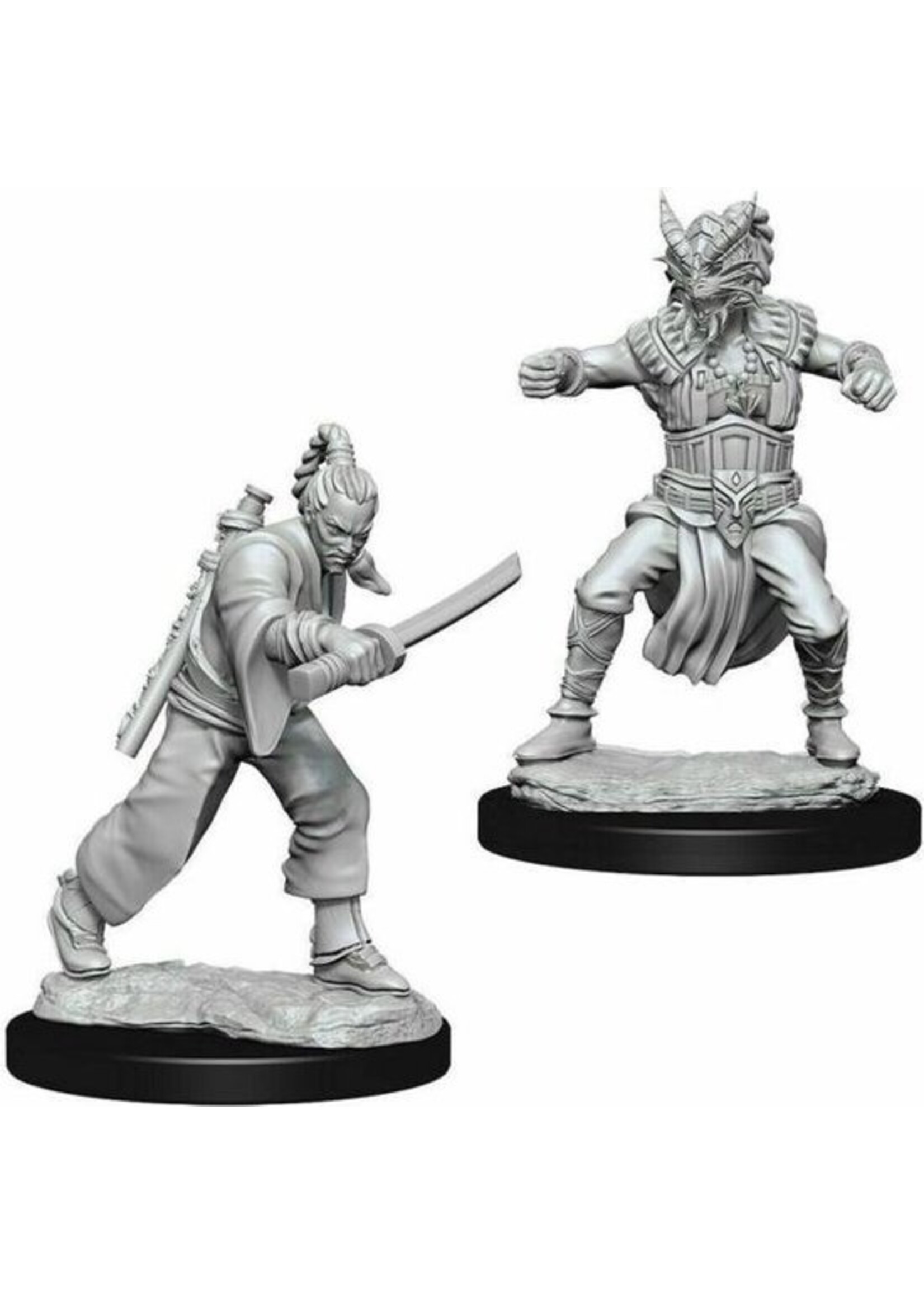 Wizkids D&D Nolzur's Marvelous Miniatures Human Monk Male
