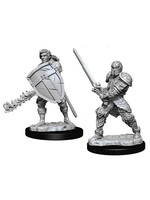 Wizkids D&D Nolzur's Marvelous Miniatures Human Fighter Male
