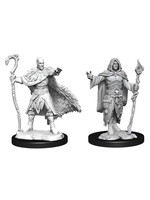 Wizkids D&D Nolzur's Marvelous Miniatures Human Druid Male