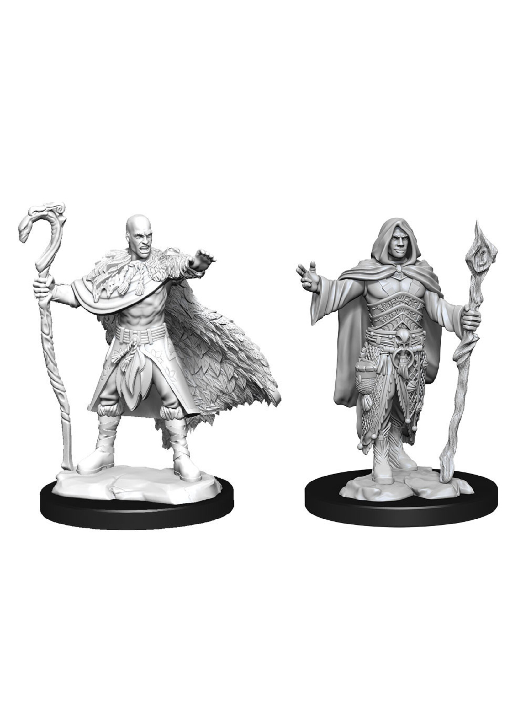 Wizkids D&D Nolzur's Marvelous Miniatures Human Druid Male