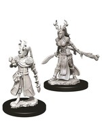 Wizkids D&D Nolzur's Marvelous Miniatures Human Druid Female 3