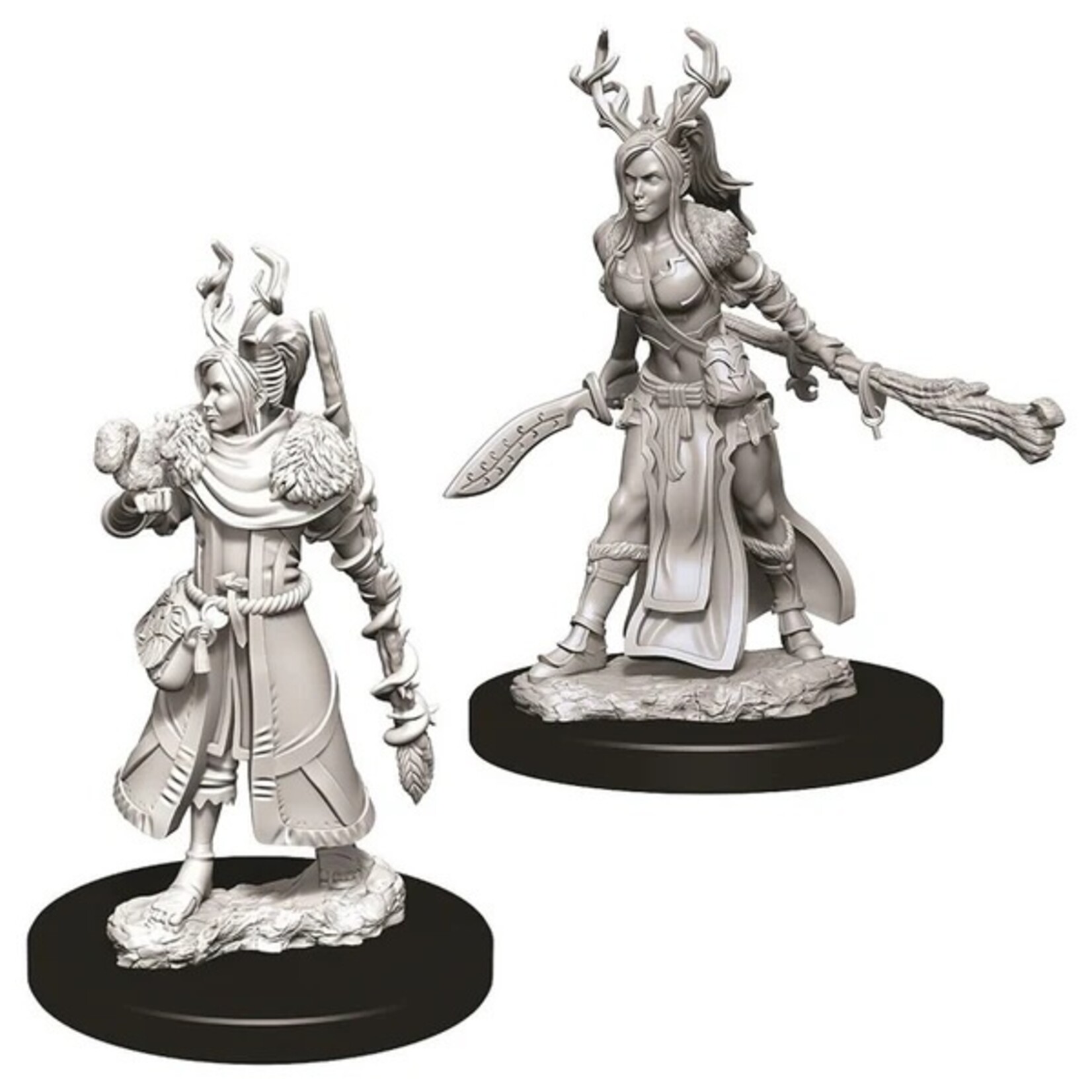 Wizkids D&D Nolzur's Marvelous Miniatures Human Druid Female 3
