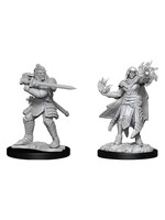 Wizkids D&D Nolzur's Marvelous Miniatures Hobgoblin Fighter Male & Wizard Female