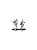 Wizkids D&D Nolzur's Marvelous Miniatures Half-Elf Bard Male