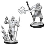Wizkids D&D Nolzur's Marvelous Miniatures Firbolg Druid Male